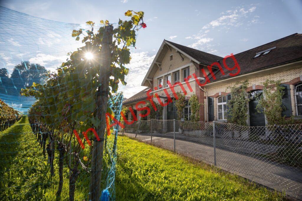 Weinbauzentrum Wädenswil, Instandsetzung Gebäudetechnik
